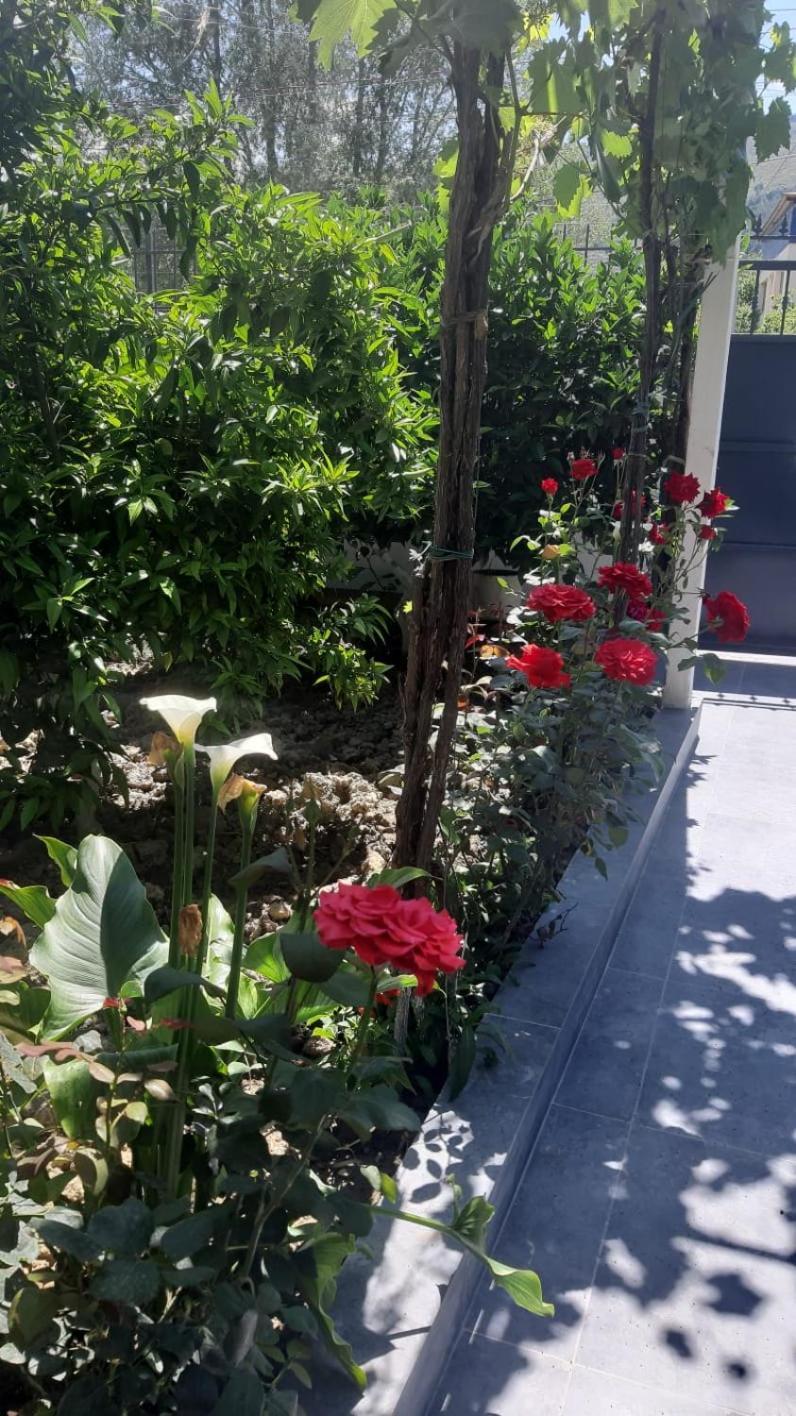Guest House Emi Berat Exterior photo