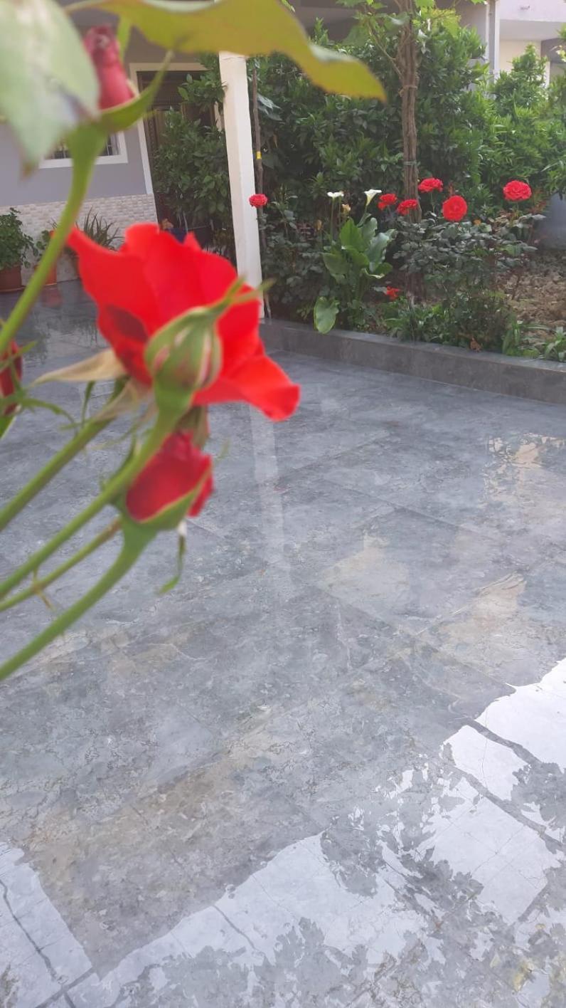 Guest House Emi Berat Exterior photo